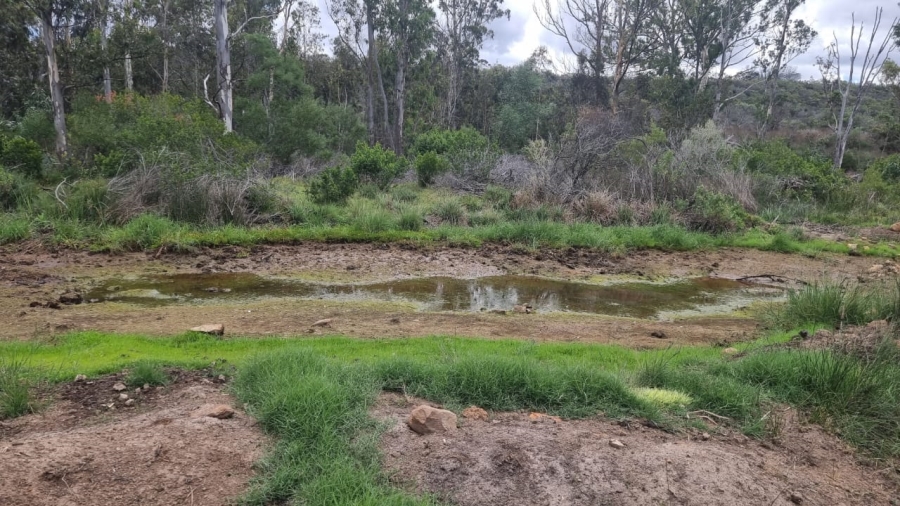 3 Bedroom Property for Sale in Albertinia Western Cape